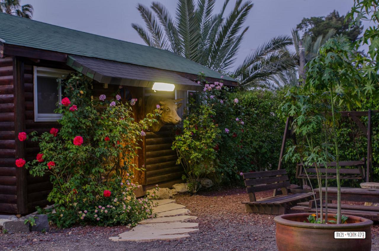 Vila Moon Light Yavneʼel Exteriér fotografie